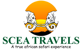 We are the Travel Experts &East Africa hospitality Industry Leaders Welcome to SCEA Travels - Safari Chronicles & Experience Africa. Based in Nairobi,